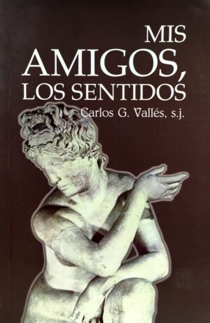 MIS AMIGOS LOS SENTIDOS