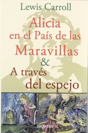 ALICIA EN EL PAIS DE LAS MARAVILLAS - A TRAVES DEL ESPEJO