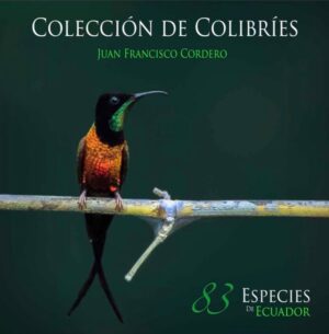 COLECCION DE COLIBRIES 83 especies de Ecuador