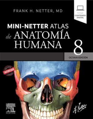 MINI - NETTER ATLAS DE ANATOMIA HUMANA NETTER