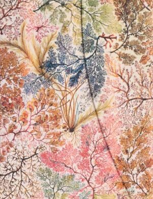 PAPERBLANKS ANEMONE CON SOLAPAS Líneas