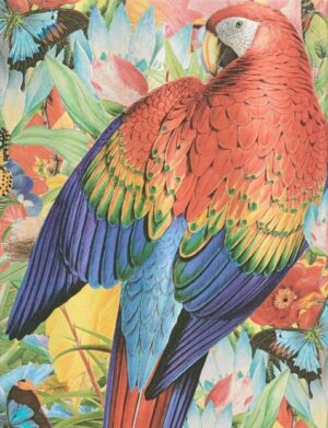 PAPERBLANKS TROPICAL GARDEN Líneas