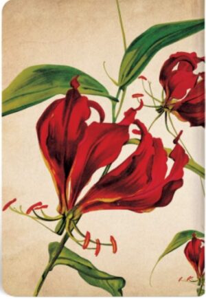 PAPERBLANKS PAINTED BOTANICALS Lirio escalante líneas (mini)