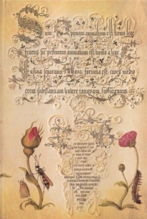 PAPERBLANKS FLEMISH ROSE Líneas