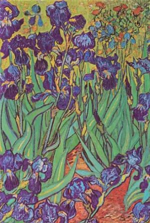 PAPERBLANKS VAN GOGHS IRISES MINI Líneas