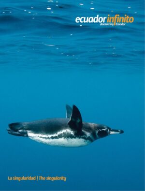 ECUADOR INFINITO 36 (REVISTA) LA SINGULARIDAD / THE SINGULARITY