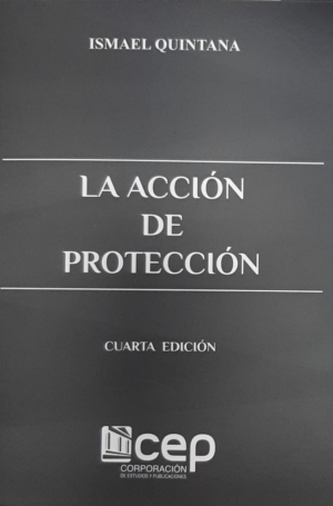ACCION DE PROTECCION, LA