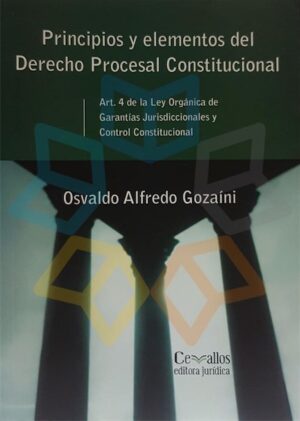 PRINCIPIOS Y ELEMENTOS DEL DERECHO PROCESAL CONSTITUCIONAL