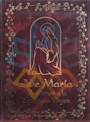 AVE MARIA ORACIONES A LA SANTISIMA VIRGEN